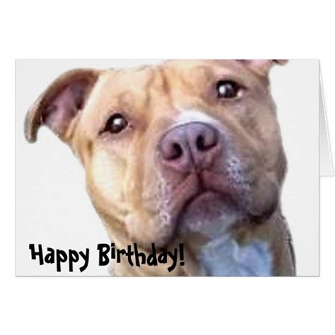 Happy Birthday Pitbull Greeting Card Zazzle