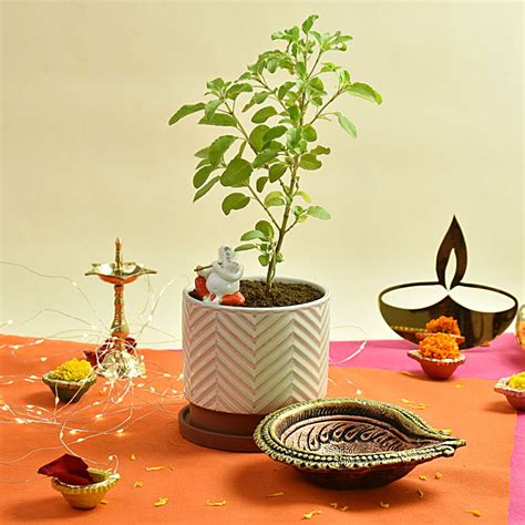 Tulsi Plant Big Diya And Ganesha Idol Uae Gift Tulsi Plant Big Diya