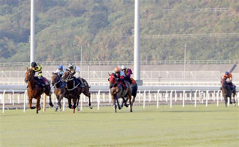 新聞 從化馬場 香港賽馬會