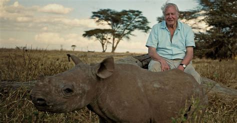 Watch David Attenborough S Rendition Of What A Wonderful World