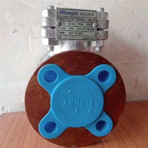 Flowjet Check Valve At Rs Swing Check Valve In Kanpur Id