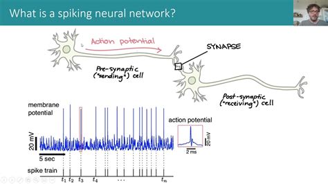 Cosyne 2022 Tutorial On Spiking Neural Networks Part 1 2 YouTube