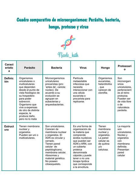 Cuadro Comparativo De Microorganismos Katherine Méndez Udocz