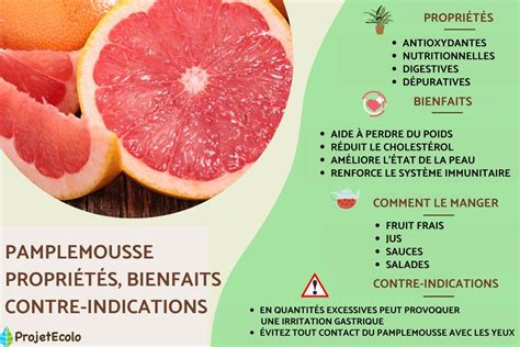 Pamplemousse Propri T S Bienfaits Et Contre Indications