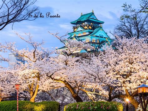 Hanami – Japón – La Boutique del Powerpoint