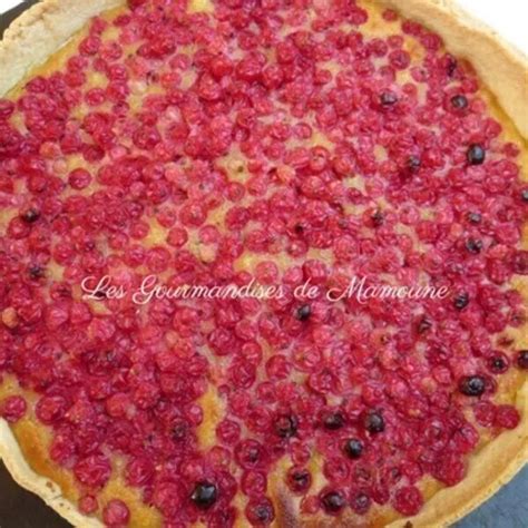 Tarte Aux Groseilles Guy Demarle