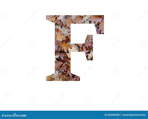 Letter F Of The Alphabet Made With Autumn Brown Oak Leaves Stock Photo