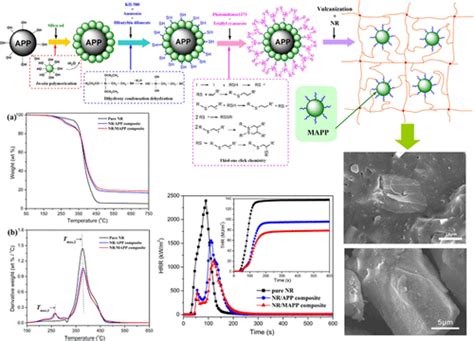 Microencapsulation And Surface Functionalization Of Ammonium