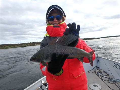 Arctic Grayling Fishing Canada Experience | Scott Lake Lodge