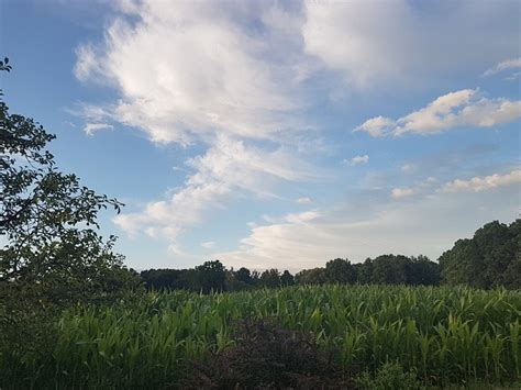 Natur Wolken Wolke Kostenloses Foto Auf Pixabay Pixabay