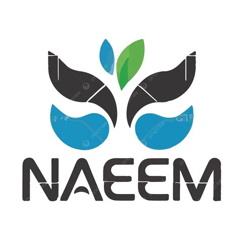 professional logo  naeem vector professional logo professional