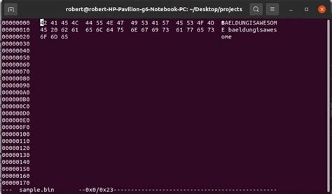 How To Edit Binary Files On Linux Baeldung On Linux