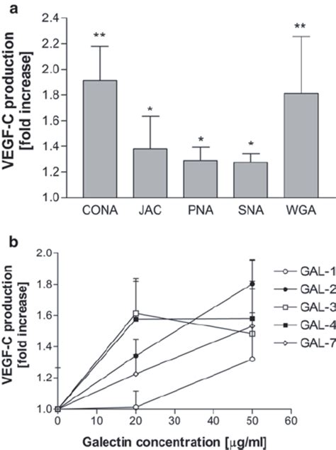 4 Effect Of Plant Lectins And Human Galectins On VEGF C Production By