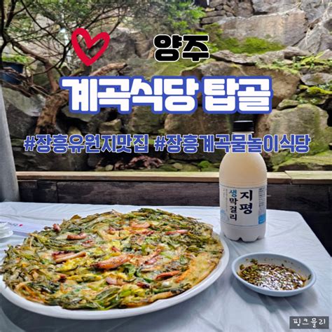 양주 장흥계곡맛집 백숙이 맛있는 계곡 평상 물놀이 식당 탑골 네이버 블로그