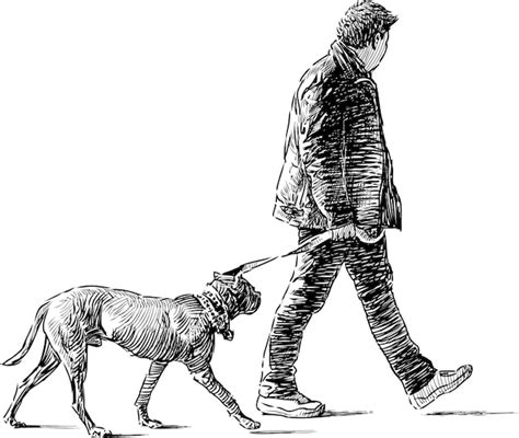 Dessin D Un Habitant De La Ville Avec Son Chien En Promenade Vecteur