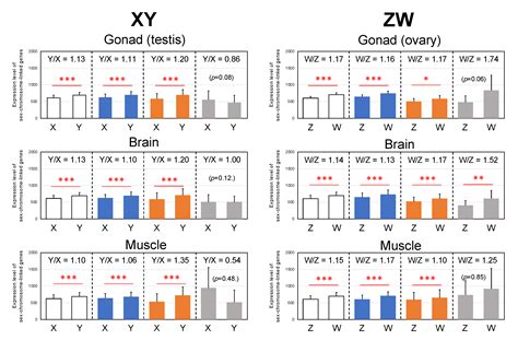 Parallel Evolution Of Sex Linked Genes Across Xxxy And Zzzw Sex Chromosome Systems In The Frog