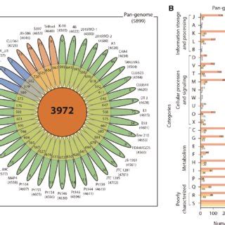 Pangenome Analysis For 5 Newly Isolated Strains And 35 Publicly