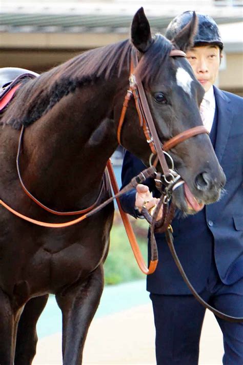 11月18日東京競馬⭐︎東スポ杯2歳s⭐︎ミカエルパシャ⭐︎次走ホープフルs 公式：黒澤ひかりのキラキラ日記～magic Kiss