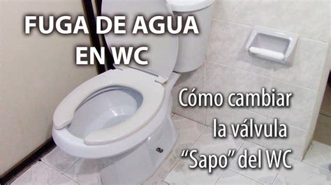 Fuga De Agua En Wc Youtube