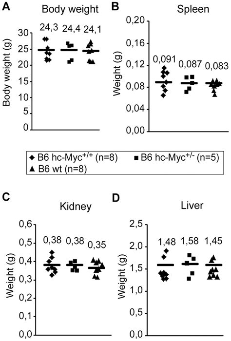 Hc Myc Mice Have Normal Body And Organ Weights Body Weight A And