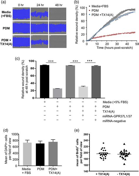 Psap Gpr L Gpr Mediated Signaling Is Essential For Migration Of