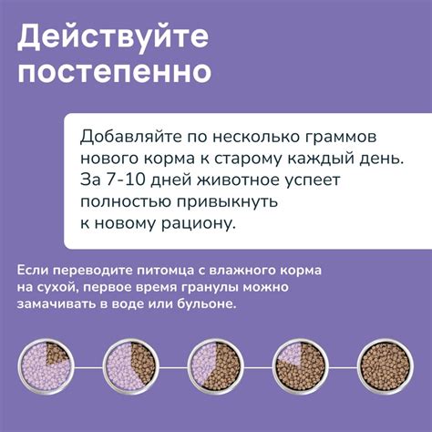 Премиальный корм для животных Melwin | ВКонтакте