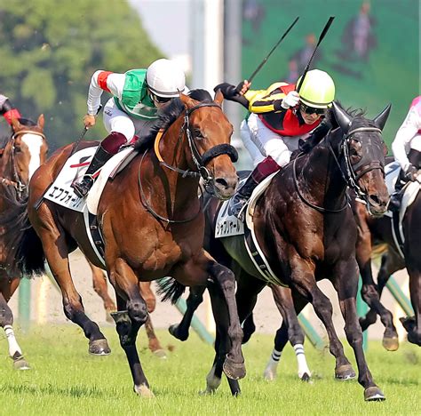 親子3代銀メダルもエフフォーリアは秋に輝く Umatoku 馬トク