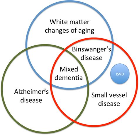 Binswanger S Disease Biomarkers In The Inflammatory Form Of Vascular Cognitive Impairment And