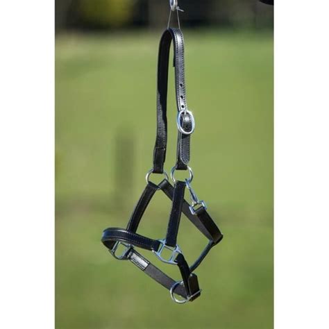 Licol En Cuir Doubl Pour Cheval Hfi Black Foal Cdiscount Au