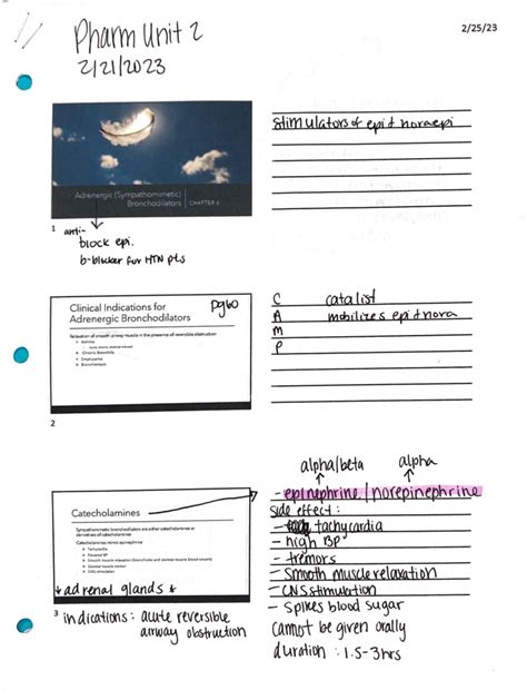 Pharmacology Chapter 6 Lecture RESP 1342 Studocu