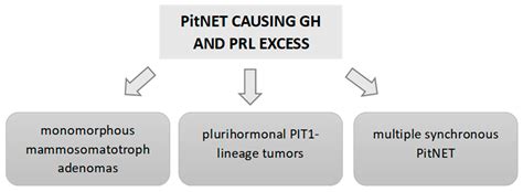 Ijms Free Full Text Prolactin And Growth Hormone Signaling And