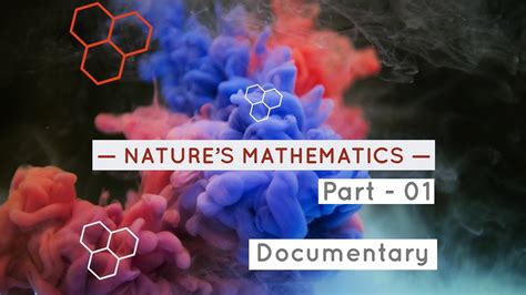 Natures Mathematics Part 1 1080p Hd Documentary Youtube