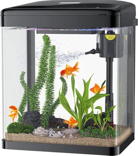 PONDON Betta Fish Tank, 2 Gallon Glass Aquarium, 3 Nepal | Ubuy