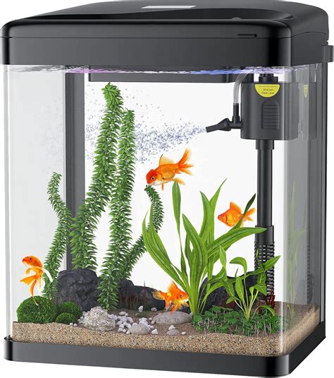 PONDON Betta Fish Tank 2 Gallon Glass Aquarium 3 Nepal Ubuy