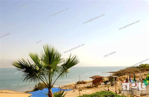 Kalia Beach Dead Sea Israel Middle East Southwest Asia Stock Photo