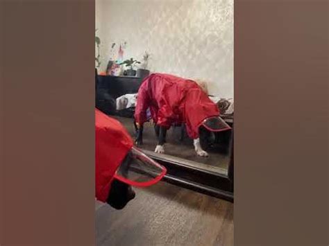 Тинки - YouTube