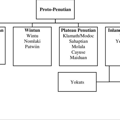 Language Family Tree Diagram