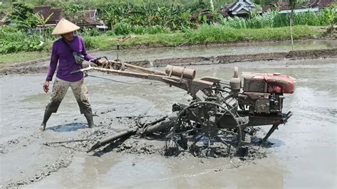 JOKI TRAKTOR MERATAKAN TANAH YANG TIDAK RATA HASILNYA JADI RATA DI