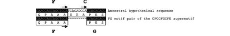 Sequence Alignment Illustrating The Hypothetical Mechanism Resulting In