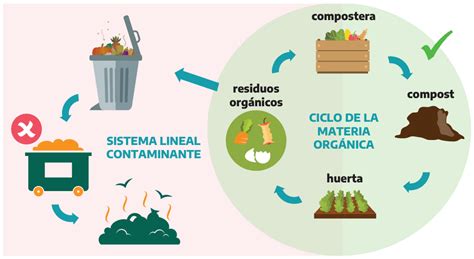 Composteras Comunitarias Mientras Los Residuos Org Nicos Alimentan El