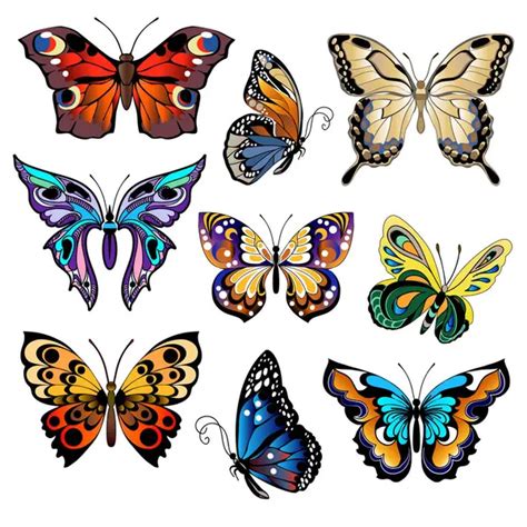 Big Collection Of Colorful Butterflies Vector — Stock Vector © Almoond