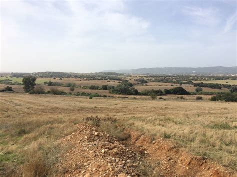 Wide Shot Plains Near Cordoba Sustainable Olive Production In Florida