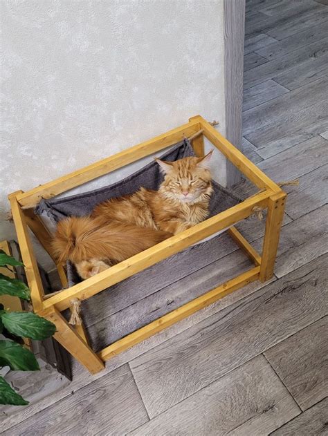 Гамак для кота | Идеи для дома, Для дома, Дом