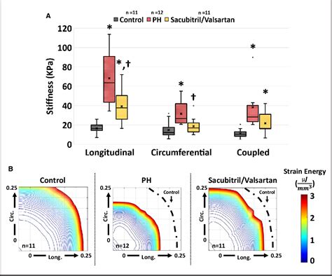 PDF Angiotensin ReceptorNeprilysin Inhibition Attenuates Right