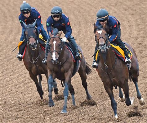 【ラジオnikkei賞】ヴァイスメテオール 燃える闘志！3頭併せで力強い動き 競馬ニュース Netkeiba