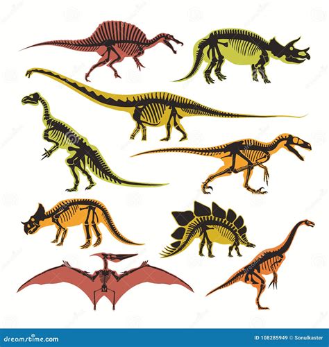 Os Esqueletos E As Silhuetas Dos Dinossauros Vector Cones Isolados