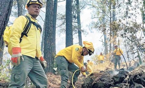 Hay 58 Incendios Activos En El País