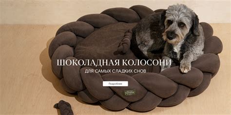 Аксессуары для питомцев от Hunting Pony