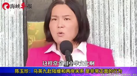 陈玉珍：马英九赴陆缓和两岸关系，是非常正面的行为