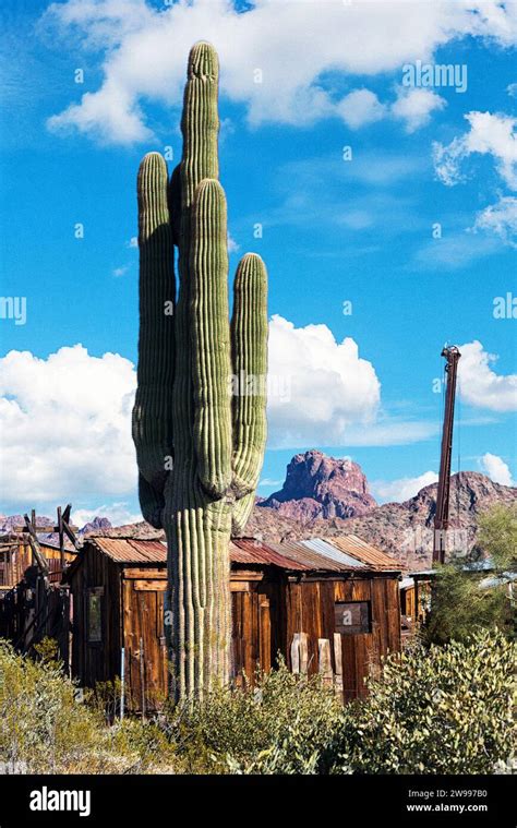 Historic Castle Dome City Arizona Usa Stock Photo Alamy